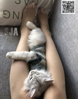 99久久精品毛片无码一区三区_蓝光全集免费播放