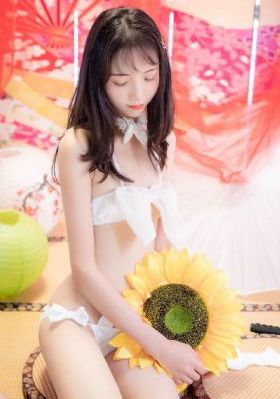 精品国产一区二区三区麻豆仙踪林_超清电视剧在线观看